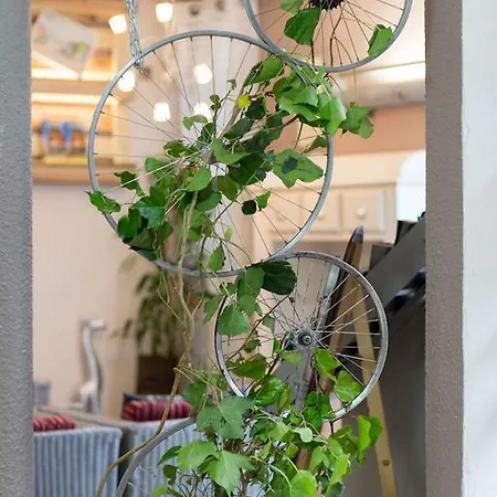 Logis L'etoile 2* Carcassonne