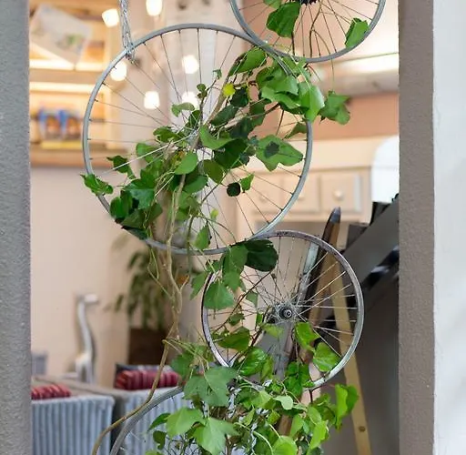 Logis L'etoile 2* Carcassonne